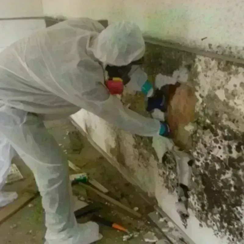 Mold Remediation and Removal in Northumberland County, VA